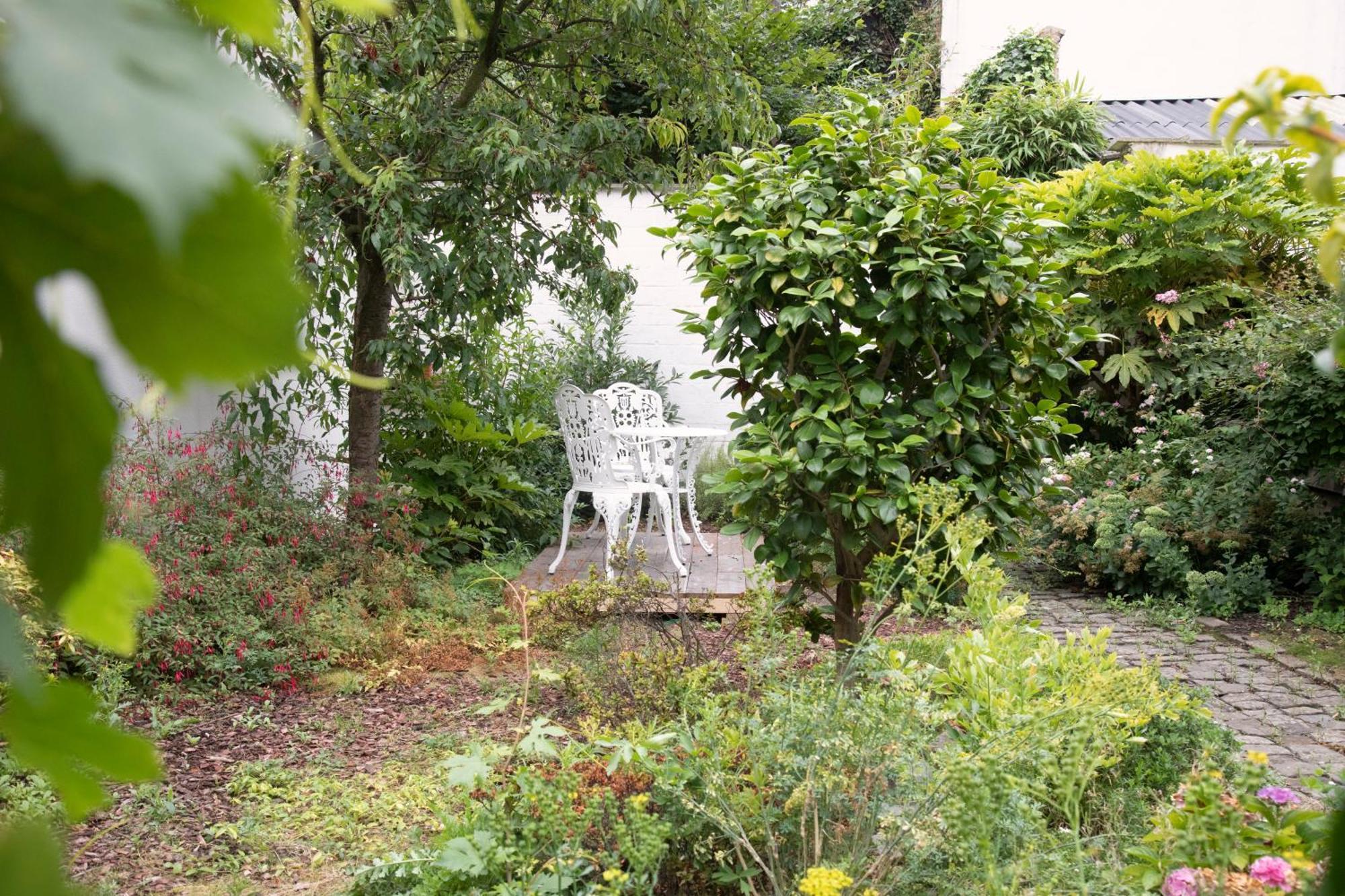 The Greenhouse Antwerpia Zewnętrze zdjęcie